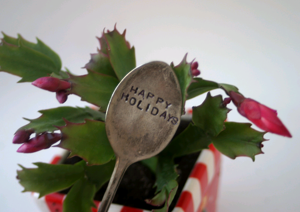 Happy Holidays from ButYouDontLookSick.com