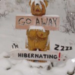 Out of Hibernation- Thoughts on the Weather