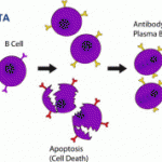 Historic and Hopeful Day for Patients living with Lupus - FDA Advisory Committee’s Recommendation to Approve Benlysta for Lupus